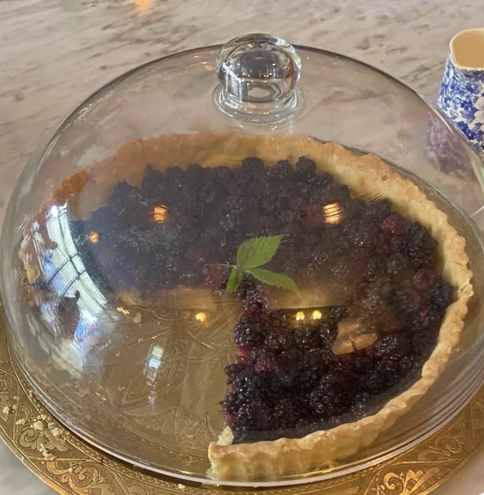 Berry tart displayed beneath a glass cloche
