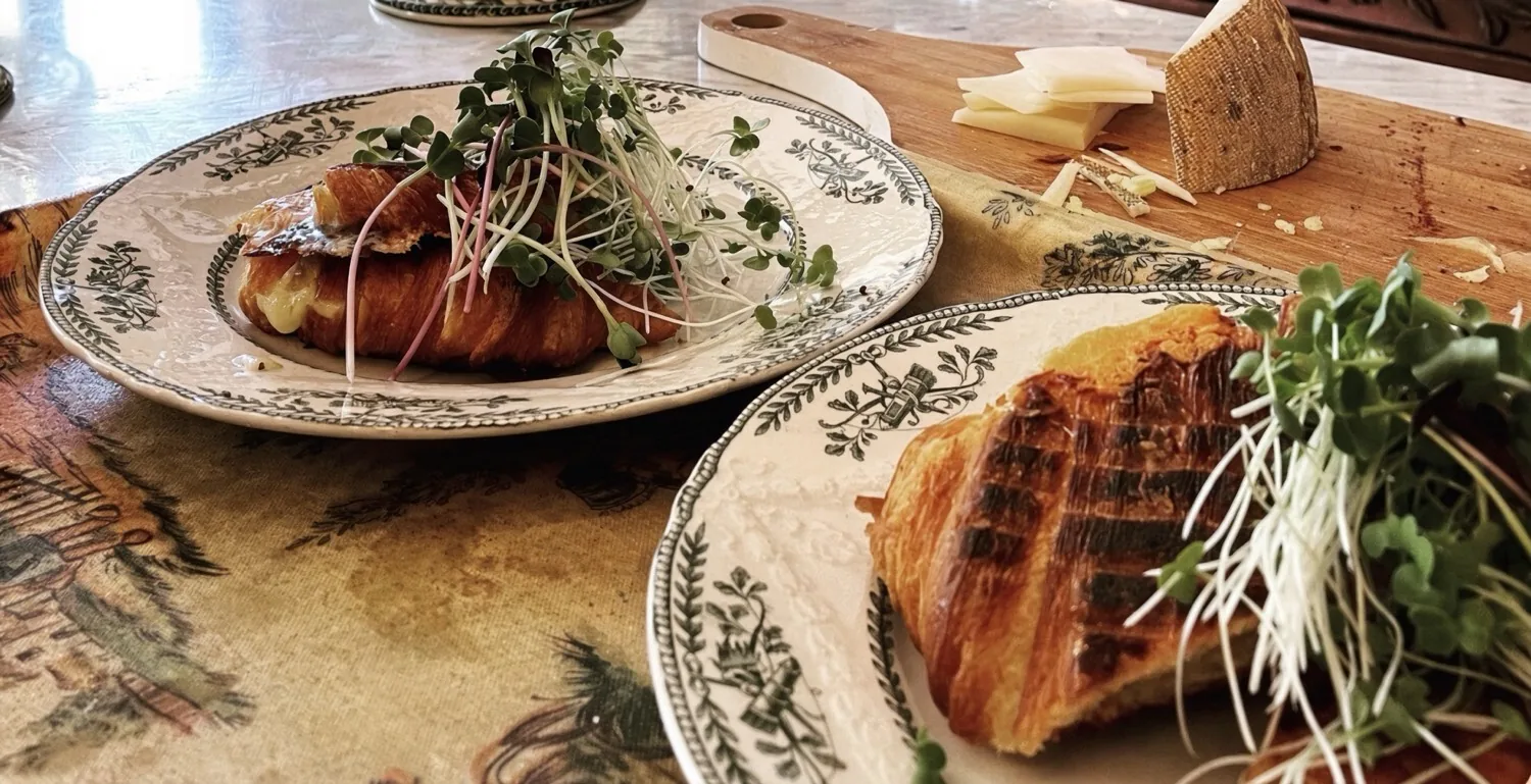 Toasted croissant with cheese and microgreens